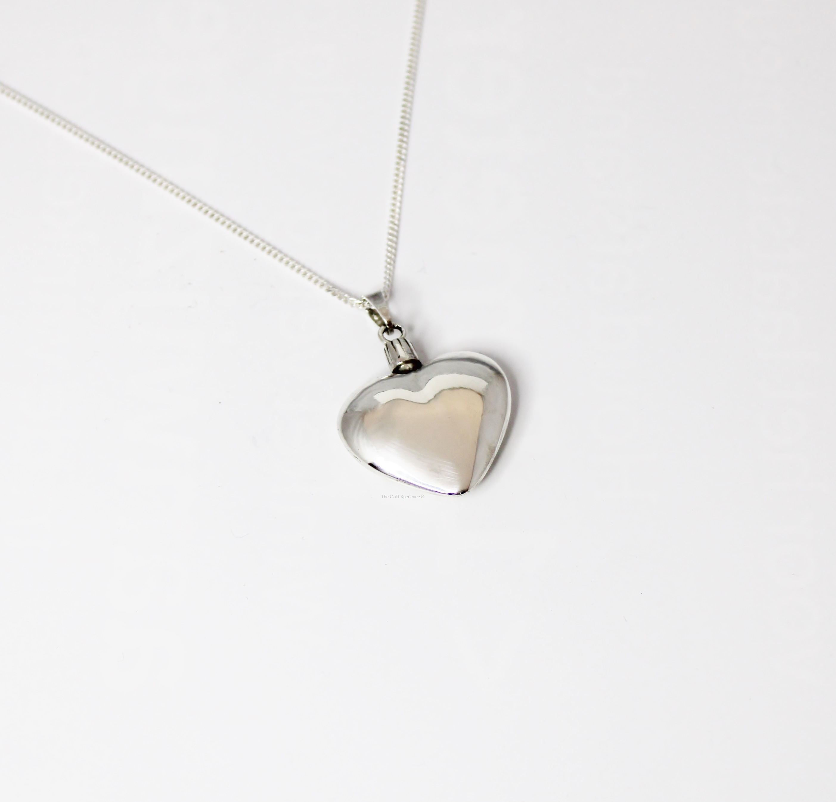 Ash pendant, memory jewel Heart silver